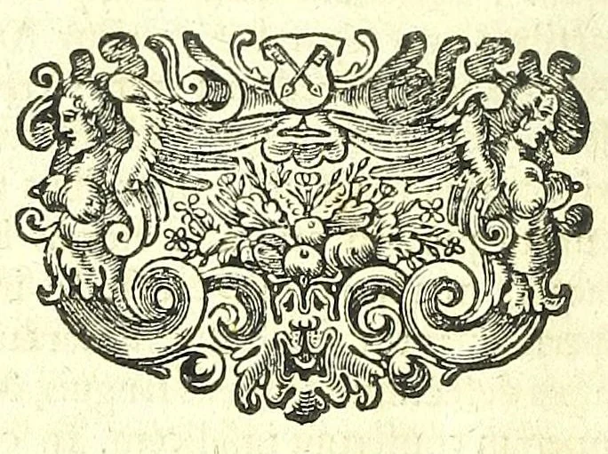 An illustration from Anatomia, ex Caspari Bartholini parentis Institutionibus :, 1666, leaf 618