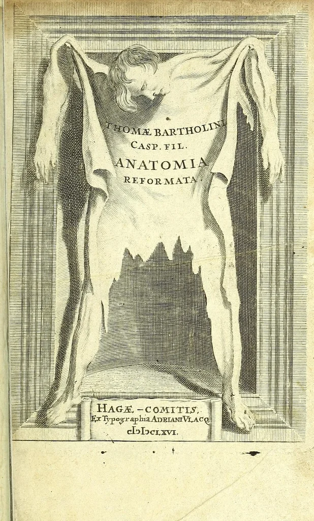 An illustration from Anatomia, ex Caspari Bartholini parentis Institutionibus :, 1666, leaf 9