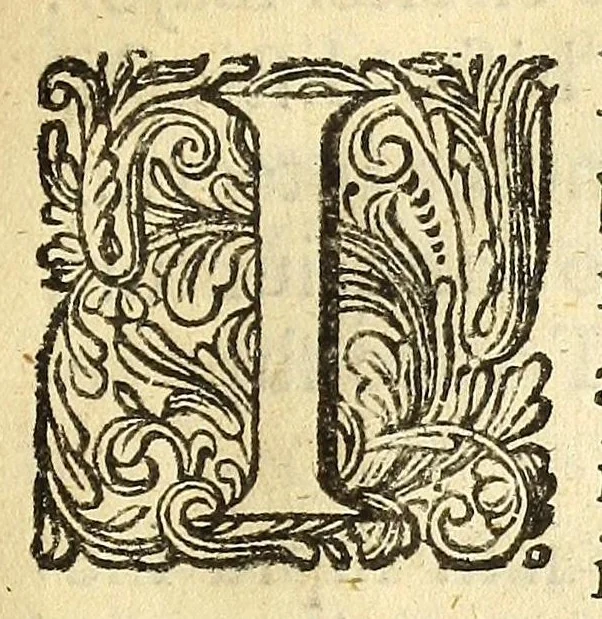 An illustration from Anatomia seu interiora rerum : cum animatarum tum inanimarum [sic], ope & nebeficio [sic] exquisitissimorum microscopiorum detecta, variisque experimentis demonstrata, una cum discursu & ulteriore dilucidatione epistolis quibusdam ad celeberrimum quod ser[enissi]mi Magnae Brittanniae Regis auspicio Londini floret, Philosophorum Collegium datis comprehensa, 1687, leaf 121