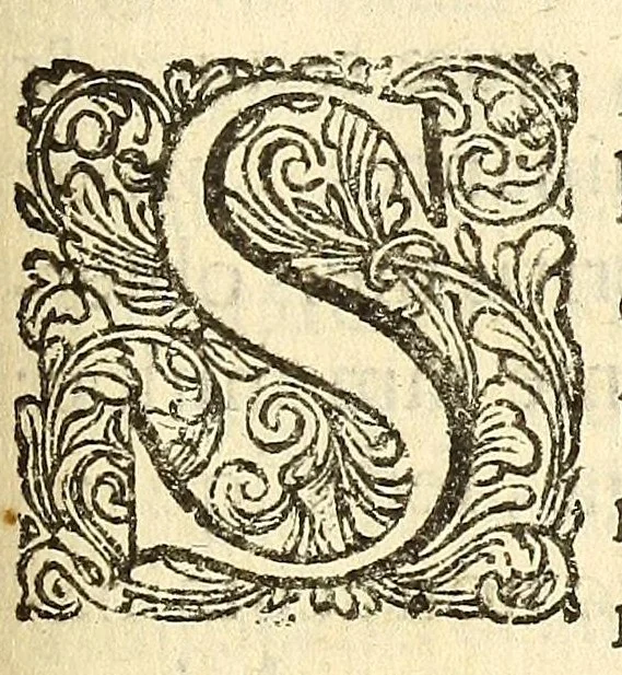 An illustration from Anatomia seu interiora rerum : cum animatarum tum inanimarum [sic], ope & nebeficio [sic] exquisitissimorum microscopiorum detecta, variisque experimentis demonstrata, una cum discursu & ulteriore dilucidatione epistolis quibusdam ad celeberrimum quod ser[enissi]mi Magnae Brittanniae Regis auspicio Londini floret, Philosophorum Collegium datis comprehensa, 1687, leaf 375