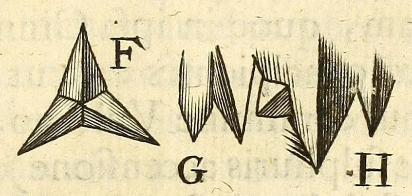 An illustration from Anatomia seu interiora rerum : cum animatarum tum inanimarum [sic], ope & nebeficio [sic] exquisitissimorum microscopiorum detecta, variisque experimentis demonstrata, una cum discursu & ulteriore dilucidatione epistolis quibusdam ad celeberrimum quod ser[enissi]mi Magnae Brittanniae Regis auspicio Londini floret, Philosophorum Collegium datis comprehensa, 1687, leaf 439