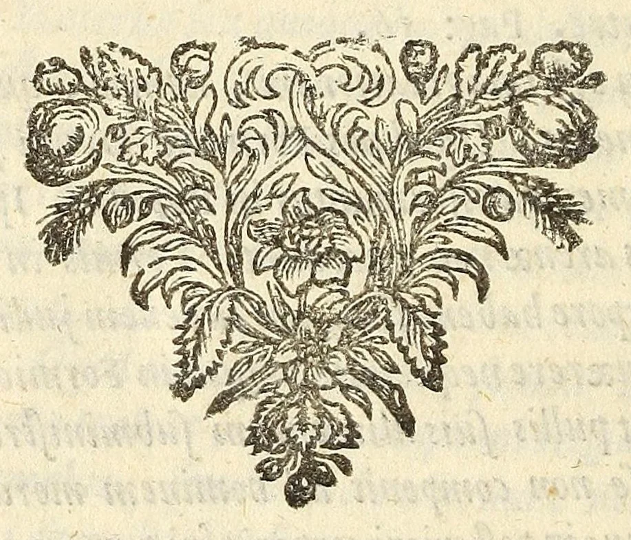 An illustration from Anatomia seu interiora rerum : cum animatarum tum inanimarum [sic], ope & nebeficio [sic] exquisitissimorum microscopiorum detecta, variisque experimentis demonstrata, una cum discursu & ulteriore dilucidatione epistolis quibusdam ad celeberrimum quod ser[enissi]mi Magnae Brittanniae Regis auspicio Londini floret, Philosophorum Collegium datis comprehensa, 1687, leaf 94