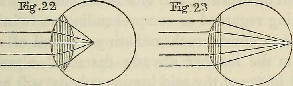 An illustration from Anatomical manipulation, or, The methods of pursuing practical investigations in comparative anatomy and physiology : also an introduction to the use of the microscope, etc., and appendix, 1844, leaf 110