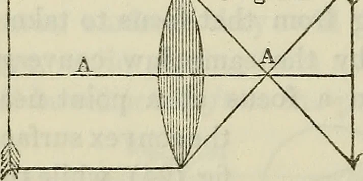 An illustration from Anatomical manipulation, or, The methods of pursuing practical investigations in comparative anatomy and physiology : also an introduction to the use of the microscope, etc., and appendix, 1844, leaf 111
