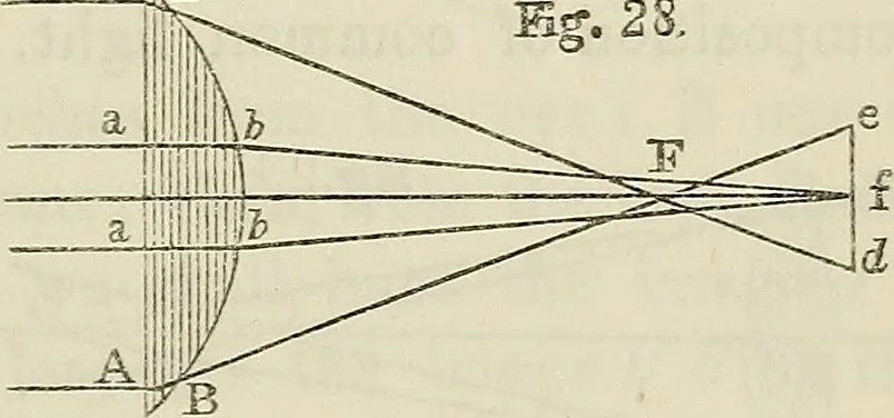 An illustration from Anatomical manipulation, or, The methods of pursuing practical investigations in comparative anatomy and physiology : also an introduction to the use of the microscope, etc., and appendix, 1844, leaf 112
