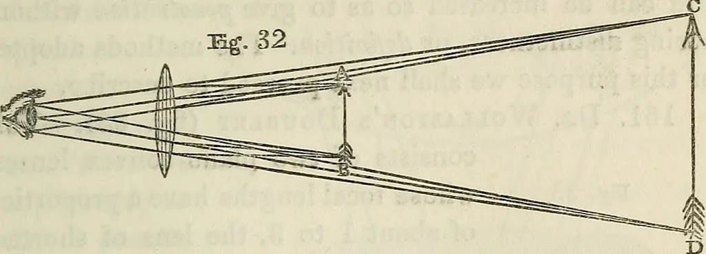 An illustration from Anatomical manipulation, or, The methods of pursuing practical investigations in comparative anatomy and physiology : also an introduction to the use of the microscope, etc., and appendix, 1844, leaf 116