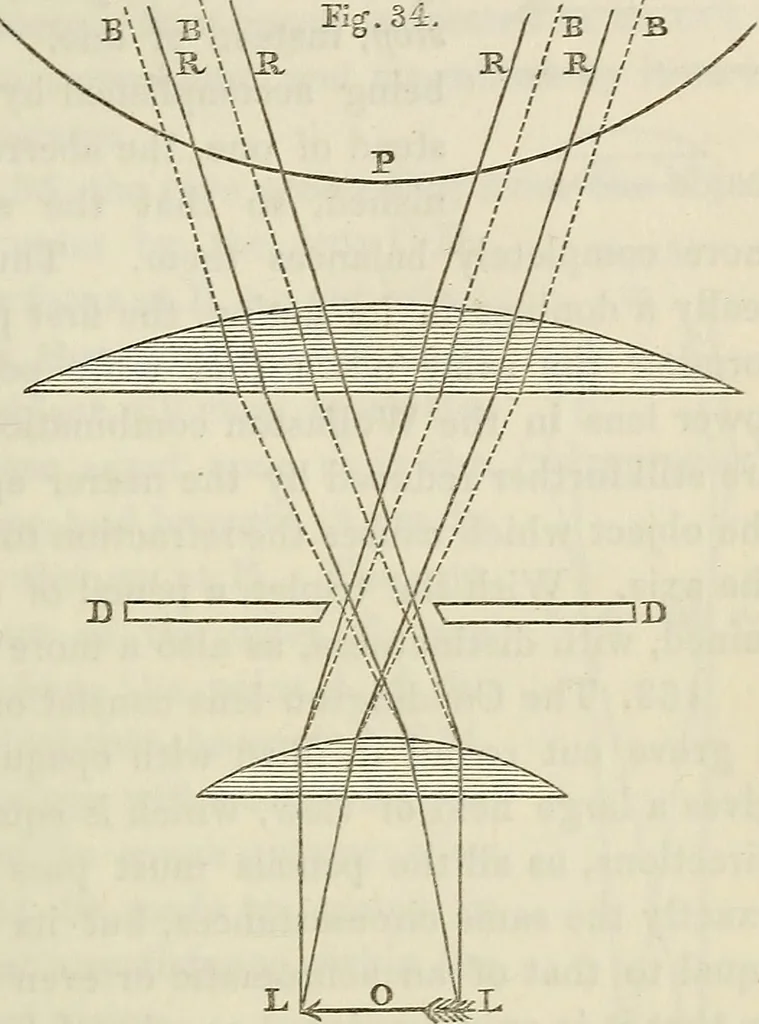 An illustration from Anatomical manipulation, or, The methods of pursuing practical investigations in comparative anatomy and physiology : also an introduction to the use of the microscope, etc., and appendix, 1844, leaf 118