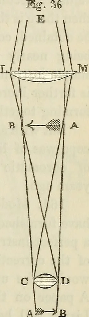 An illustration from Anatomical manipulation, or, The methods of pursuing practical investigations in comparative anatomy and physiology : also an introduction to the use of the microscope, etc., and appendix, 1844, leaf 120