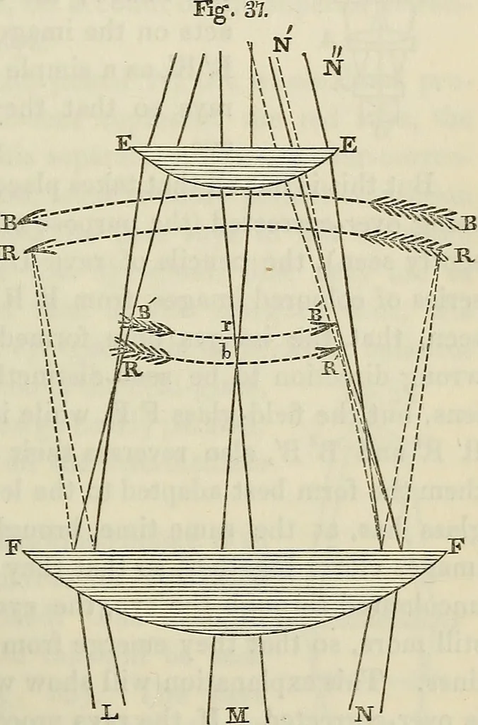 An illustration from Anatomical manipulation, or, The methods of pursuing practical investigations in comparative anatomy and physiology : also an introduction to the use of the microscope, etc., and appendix, 1844, leaf 122