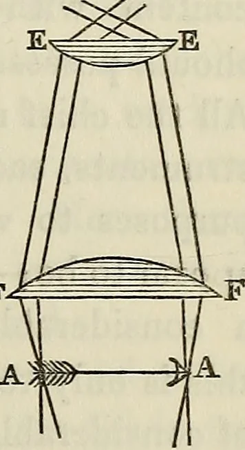 An illustration from Anatomical manipulation, or, The methods of pursuing practical investigations in comparative anatomy and physiology : also an introduction to the use of the microscope, etc., and appendix, 1844, leaf 124