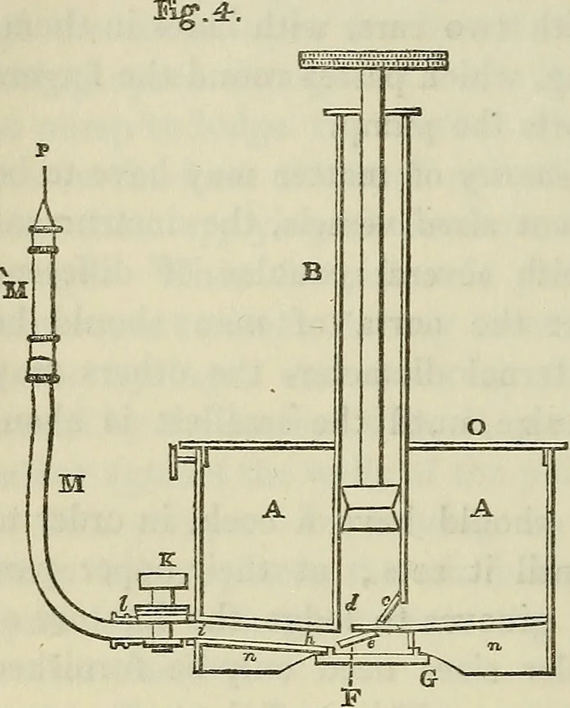An illustration from Anatomical manipulation, or, The methods of pursuing practical investigations in comparative anatomy and physiology : also an introduction to the use of the microscope, etc., and appendix, 1844, leaf 39