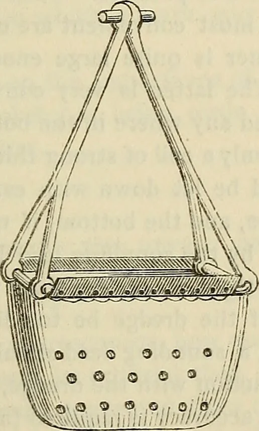 An illustration from Anatomical manipulation, or, The methods of pursuing practical investigations in comparative anatomy and physiology : also an introduction to the use of the microscope, etc., and appendix, 1844, leaf 424