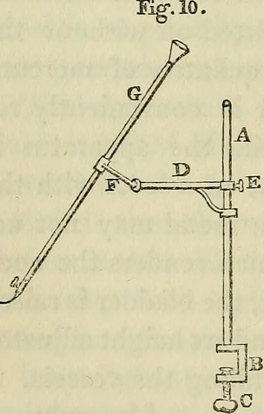 An illustration from Anatomical manipulation, or, The methods of pursuing practical investigations in comparative anatomy and physiology : also an introduction to the use of the microscope, etc., and appendix, 1844, leaf 49
