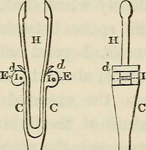An illustration from Anatomical manipulation, or, The methods of pursuing practical investigations in comparative anatomy and physiology : also an introduction to the use of the microscope, etc., and appendix, 1844, leaf 64