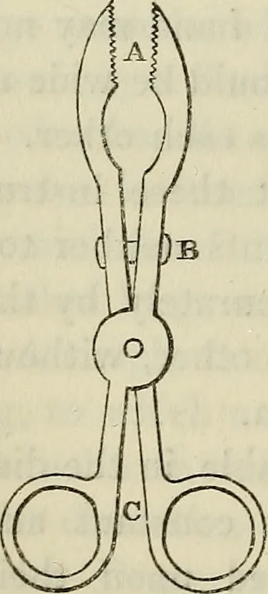 An illustration from Anatomical manipulation, or, The methods of pursuing practical investigations in comparative anatomy and physiology : also an introduction to the use of the microscope, etc., and appendix, 1844, leaf 69