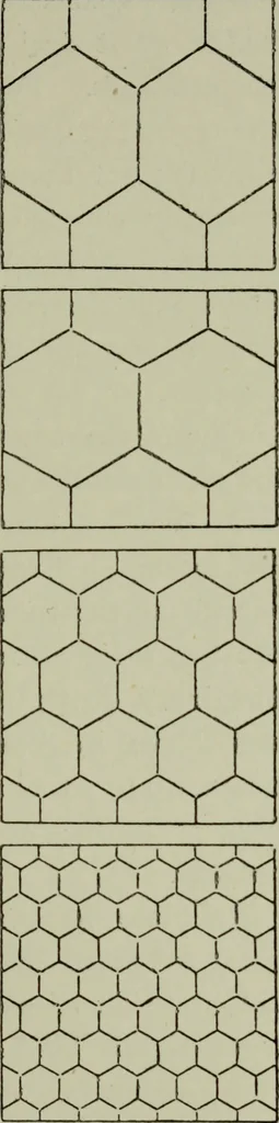An illustration from The anatomy of pattern, 1894, leaf 84