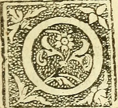 An illustration from The anatomy of vegetables begun : with a general account of vegetation founded thereon, 1672, leaf 18