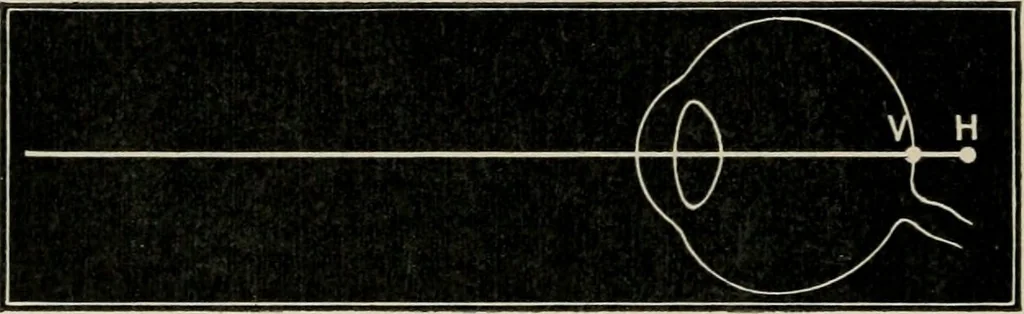 An illustration from Anatomy and physiology of the eye, with hints for the preservation of the eyesight, 1901, leaf 43