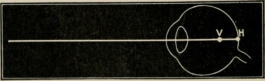 An illustration from Anatomy and physiology of the eye, with hints for the preservation of the eyesight, 1901, leaf 43