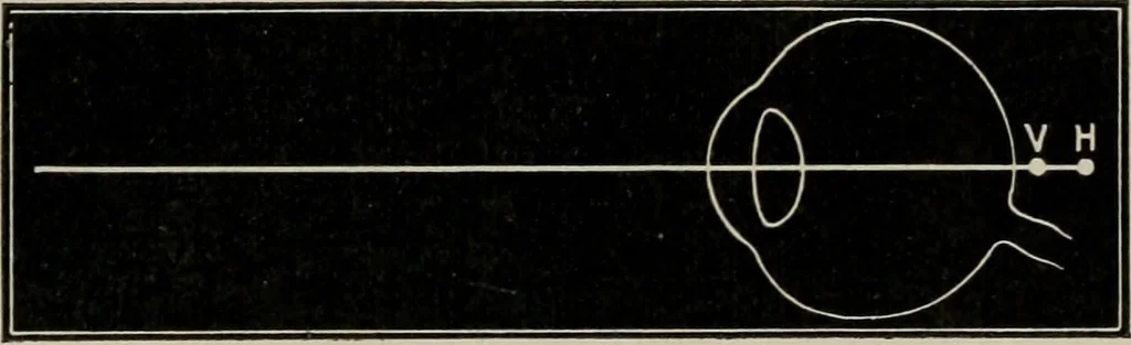 An illustration from Anatomy and physiology of the eye, with hints for the preservation of the eyesight, 1901, leaf 44