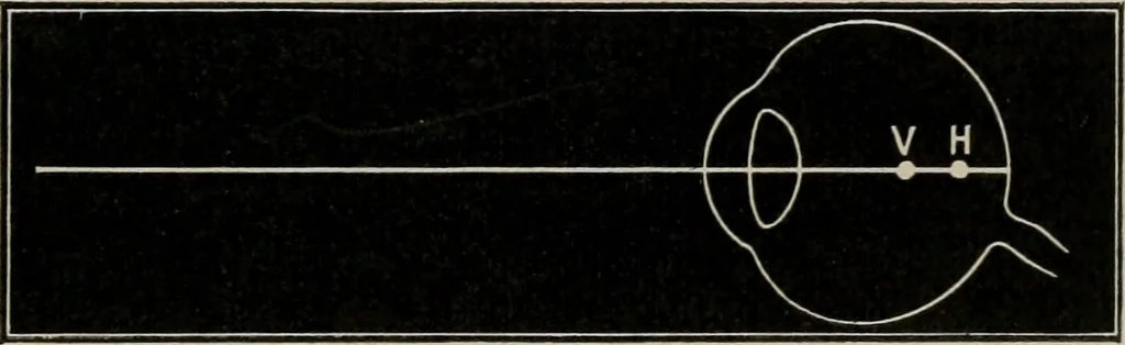 An illustration from Anatomy and physiology of the eye, with hints for the preservation of the eyesight, 1901, leaf 44