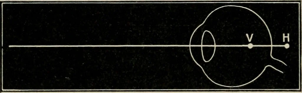 An illustration from Anatomy and physiology of the eye, with hints for the preservation of the eyesight, 1901, leaf 45