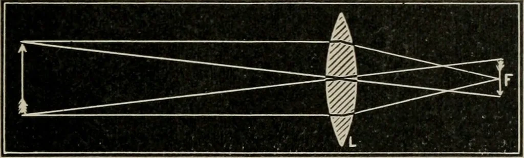 An illustration from Anatomy and physiology of the eye, with hints for the preservation of the eyesight, 1901, leaf 56