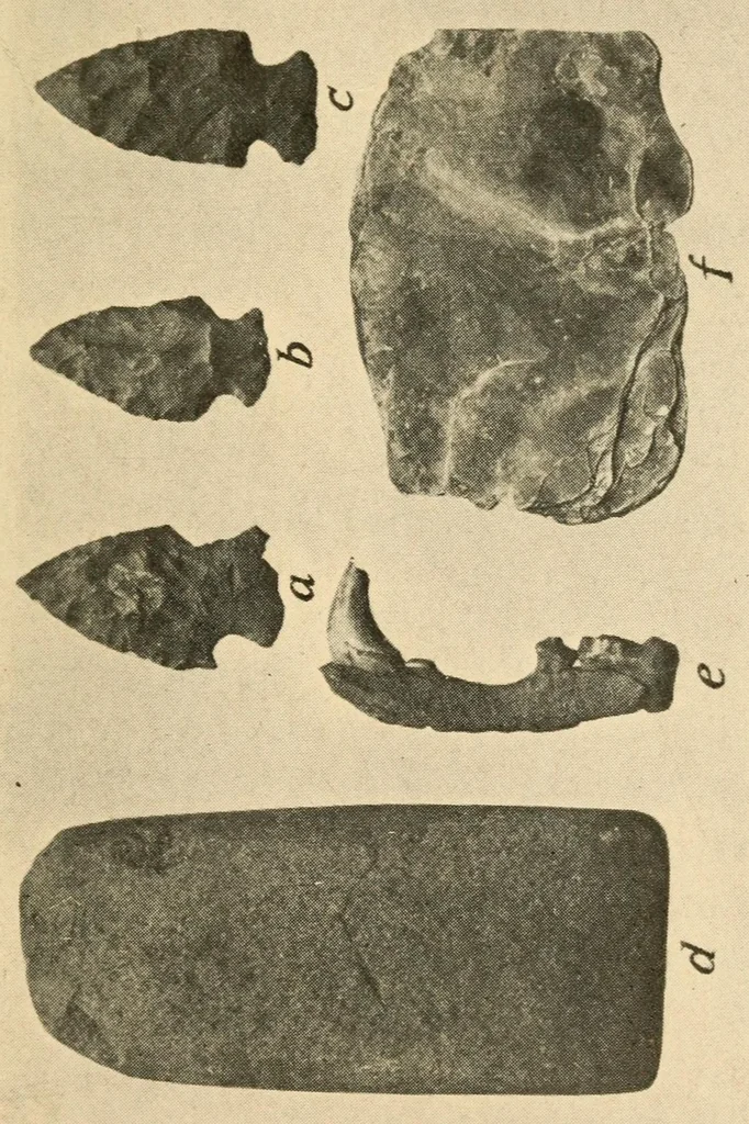 An illustration from An ancient Algonkian fishing vilage at Cayuga, New York, 1919, leaf 17