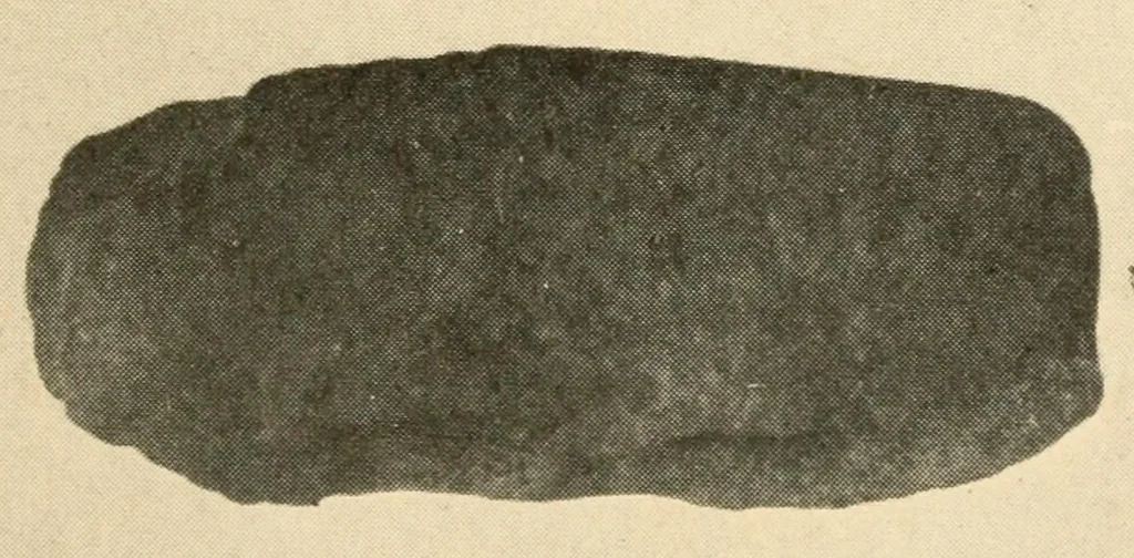 An illustration from An ancient Algonkian fishing vilage at Cayuga, New York, 1919, leaf 29