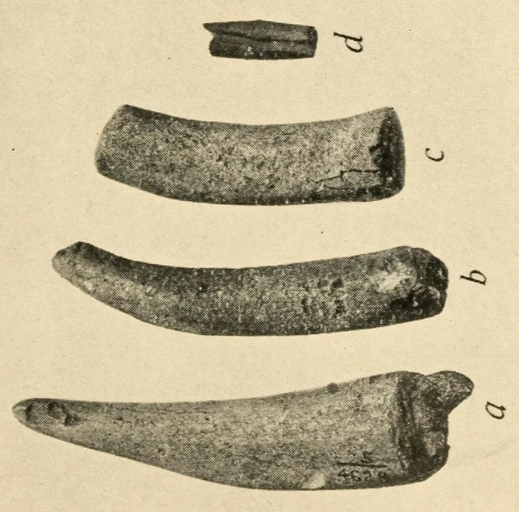An illustration from An ancient Algonkian fishing vilage at Cayuga, New York, 1919, leaf 35