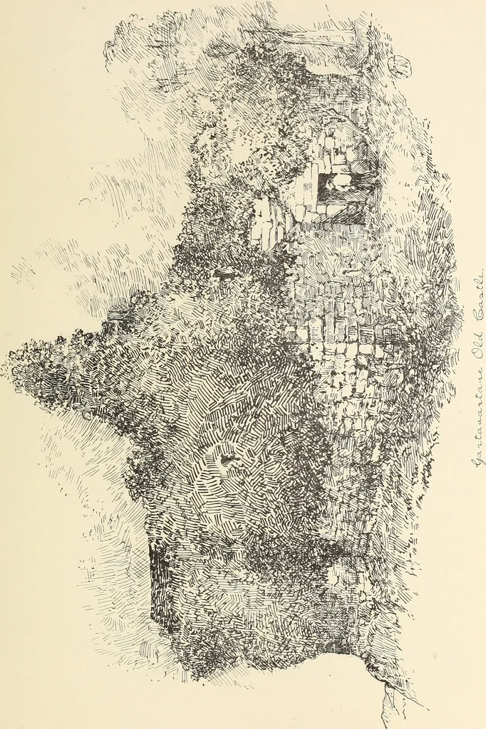 An illustration from Ancient castles and mansions of Stirling nobility / described and illustrated by J.S. Fleming, 1902, leaf 370