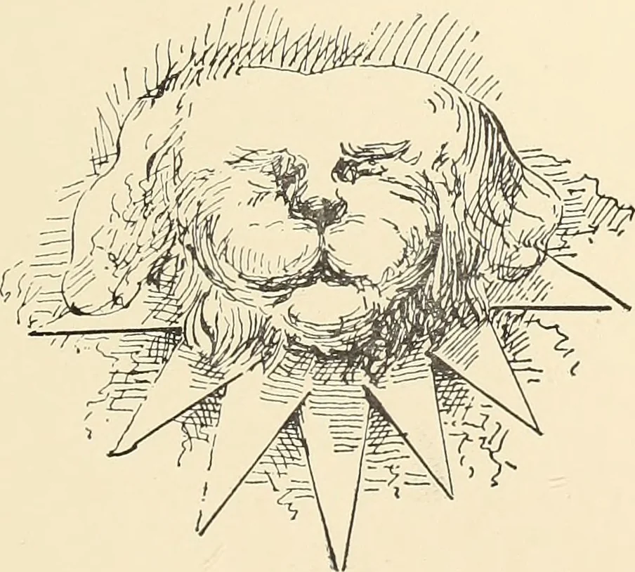 An illustration from Ancient castles and mansions of Stirling nobility / described and illustrated by J.S. Fleming, 1902, leaf 40