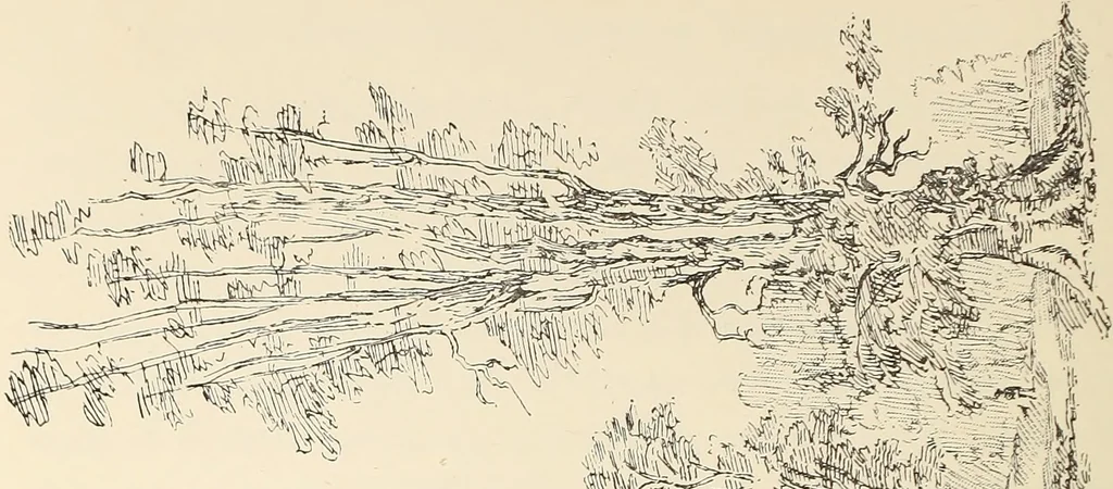 An illustration from Ancient castles and mansions of Stirling nobility / described and illustrated by J.S. Fleming, 1902, leaf 409