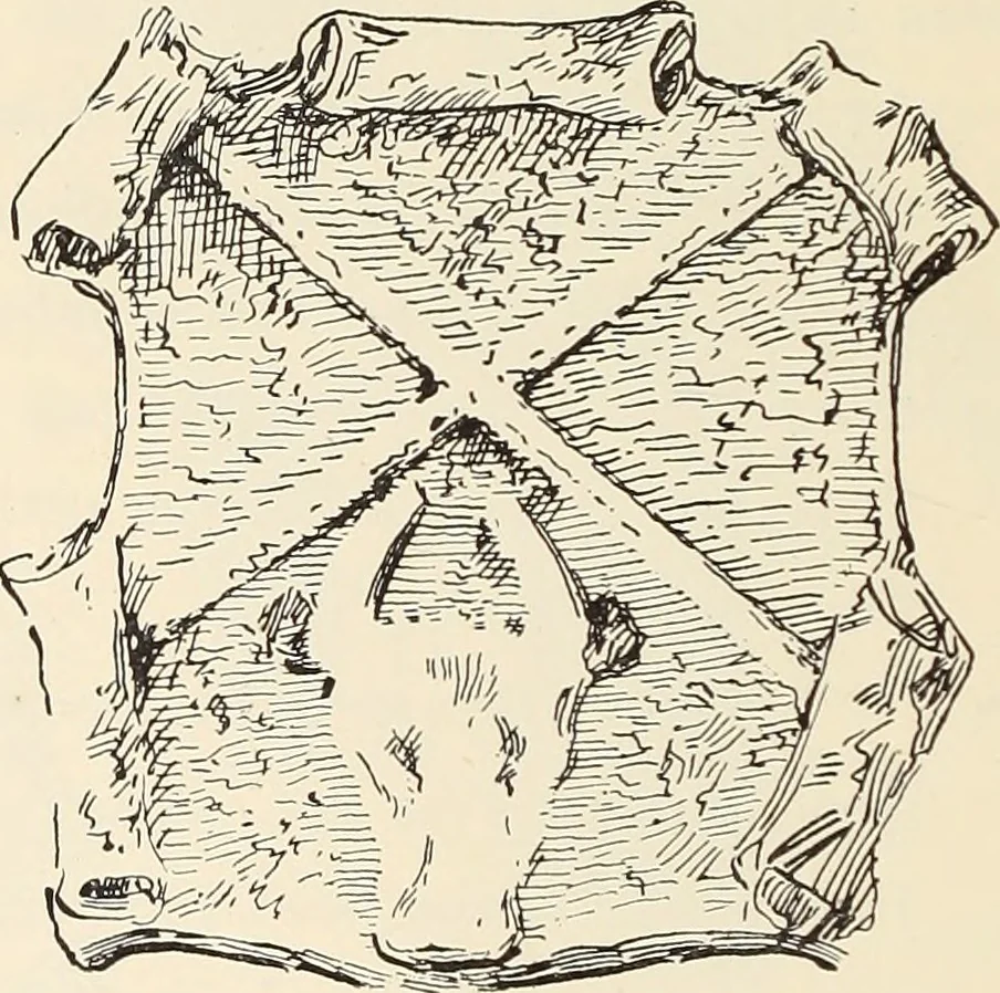 An illustration from Ancient castles and mansions of Stirling nobility / described and illustrated by J.S. Fleming, 1902, leaf 427