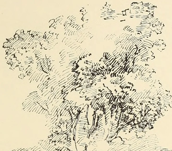 An illustration from Ancient castles and mansions of Stirling nobility / described and illustrated by J.S. Fleming, 1902, leaf 480