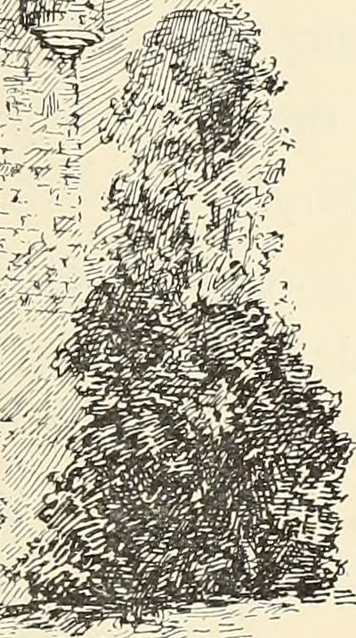 An illustration from Ancient castles and mansions of Stirling nobility / described and illustrated by J.S. Fleming, 1902, leaf 86