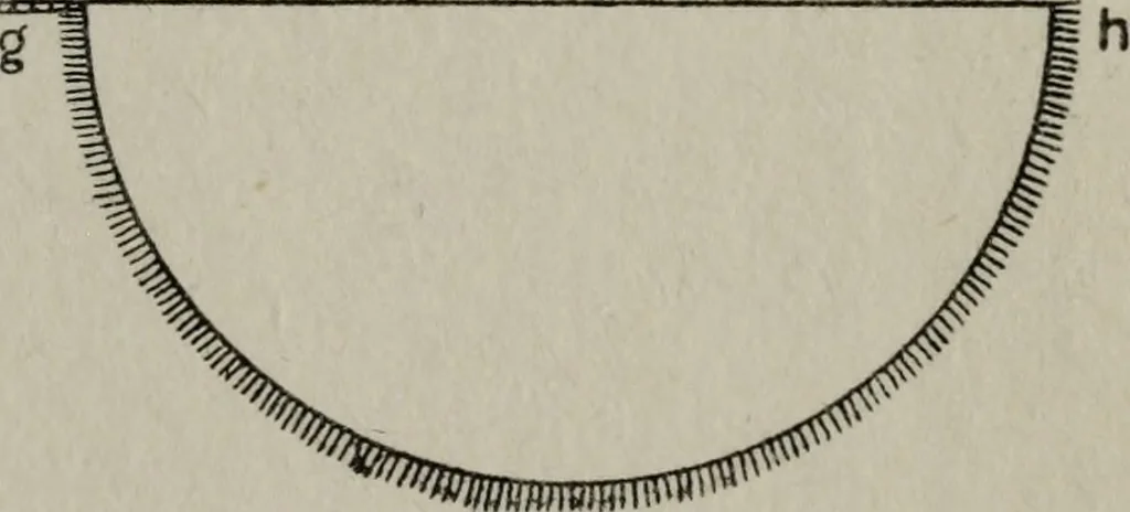 An illustration from Ancient Egyptian, Assyrian, and Persian costumes and decorations, 1920, leaf 82