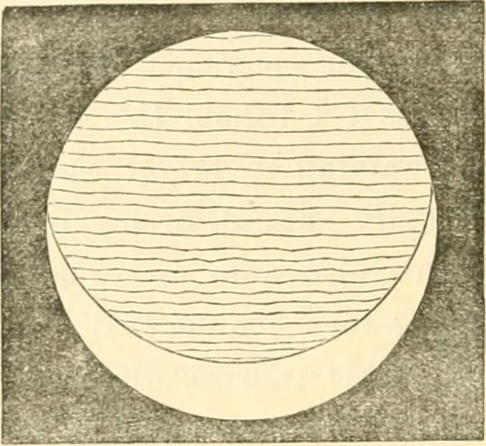 An illustration from Ancient faiths embodied in ancient names; or, An attempt to trace the religious belief, sacred rites, and holy emblems of certain nations, 1873, leaf 347