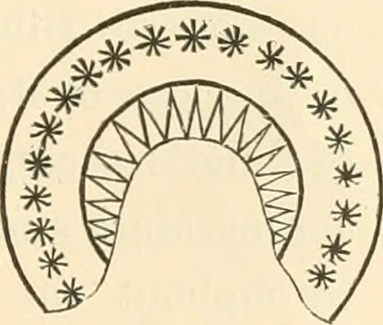An illustration from Ancient faiths embodied in ancient names; or, An attempt to trace the religious belief, sacred rites, and holy emblems of certain nations, 1873, leaf 788