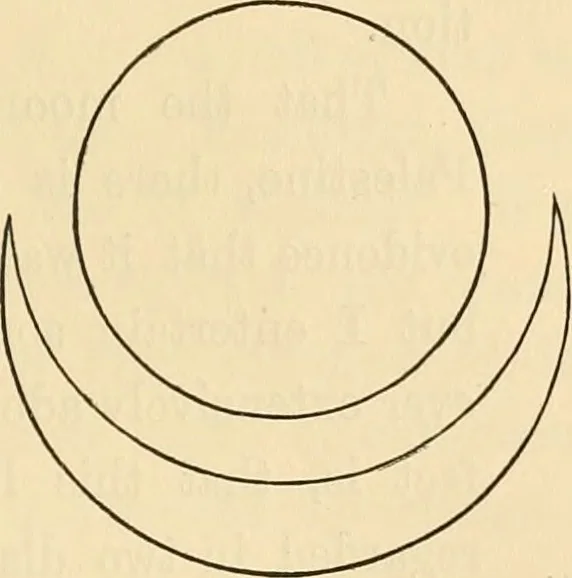 An illustration from Ancient faiths embodied in ancient names; or, An attempt to trace the religious belief, sacred rites, and holy emblems of certain nations, 1868, leaf 378
