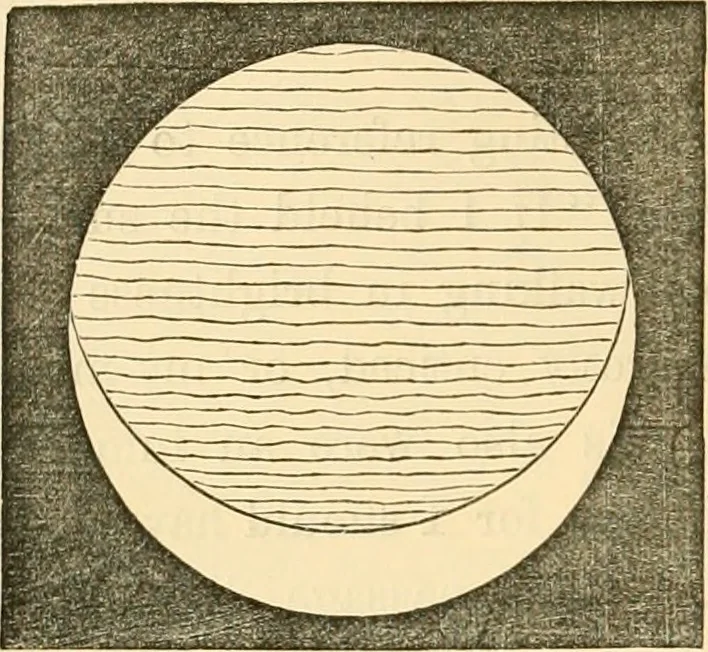 An illustration from Ancient faiths embodied in ancient names; or, An attempt to trace the religious belief, sacred rites, and holy emblems of certain nations, 1868, leaf 379