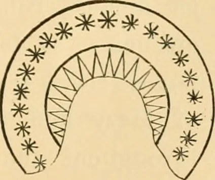 An illustration from Ancient faiths embodied in ancient names; or, An attempt to trace the religious belief, sacred rites, and holy emblems of certain nations, 1868, leaf 820