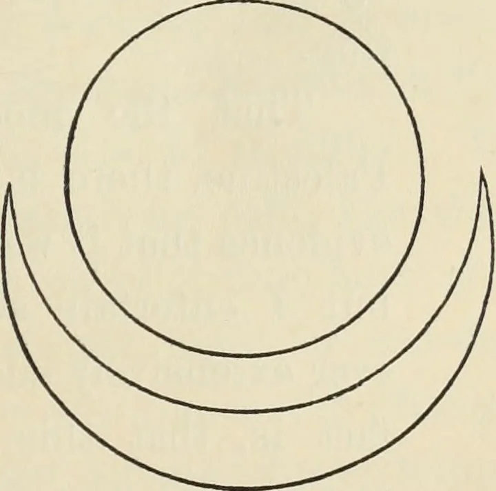 An illustration from Ancient faiths embodied in ancient names: or, An attempt to trace the religious belief, sacred rites, and holy emblems of certain nations, by an interpretation of the names given to children by priestly authority, or assumed by prophets, kings, and hierarchs, 1872, leaf 342