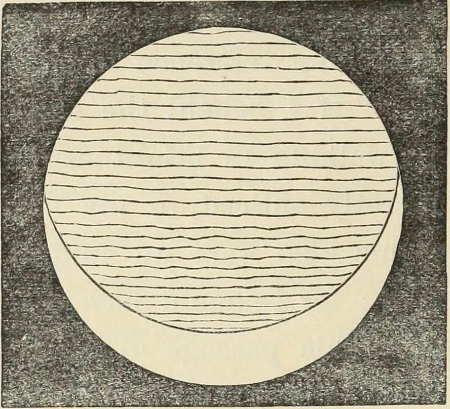 An illustration from Ancient faiths embodied in ancient names: or, An attempt to trace the religious belief, sacred rites, and holy emblems of certain nations, by an interpretation of the names given to children by priestly authority, or assumed by prophets, kings, and hierarchs, 1872, leaf 343