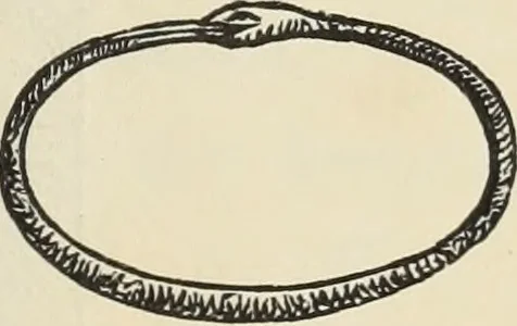 An illustration from Ancient faiths embodied in ancient names: or, An attempt to trace the religious belief, sacred rites, and holy emblems of certain nations, by an interpretation of the names given to children by priestly authority, or assumed by prophets, kings, and hierarchs, 1872, leaf 660