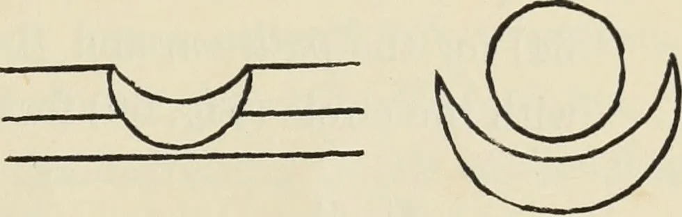 An illustration from Ancient faiths embodied in ancient names: or, An attempt to trace the religious belief, sacred rites, and holy emblems of certain nations, by an interpretation of the names given to children by priestly authority, or assumed by prophets, kings, and hierarchs, 1872, leaf 662
