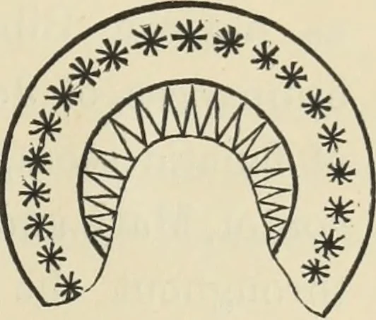 An illustration from Ancient faiths embodied in ancient names: or, An attempt to trace the religious belief, sacred rites, and holy emblems of certain nations, by an interpretation of the names given to children by priestly authority, or assumed by prophets, kings, and hierarchs, 1872, leaf 782