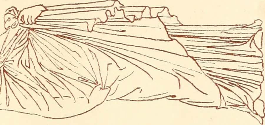 An illustration from Ancient Greek female costume : illustrated by one hundred and twelve plates and numerous smaller illustrations ; with descriptive letterpress and descriptive passages from the works of Homer, Hesiod, Herodotus, Aeschylus, Euripides, Aristophanes, Theocritus, Xenophon, Lucian, and other Greek authors, 1882, leaf 274