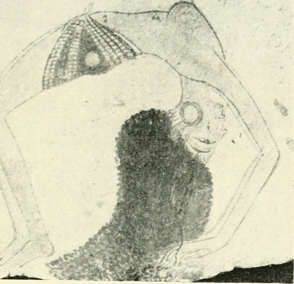 An illustration from Ancient and medieval art : a short history, 1914, leaf 104
