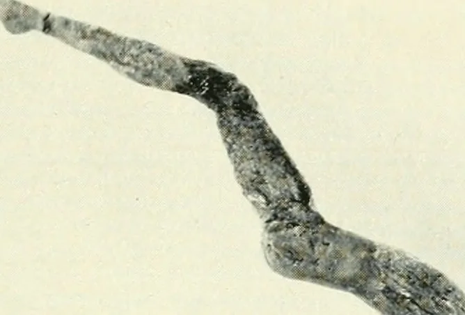 An illustration from Ancient and medieval art : a short history, 1914, leaf 190